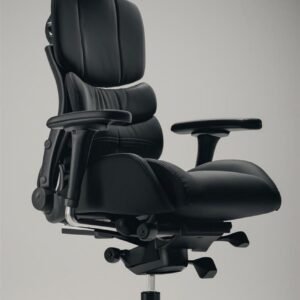 Executive Ergonomic Chair